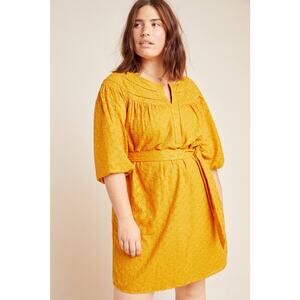 New Anthropologie Treva Embroidered Tunic by Daniel Rainn  $150 PLUS 2X  Honey